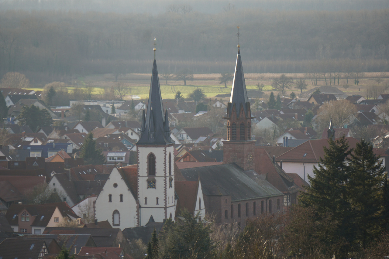 Weingarten - Kirchen