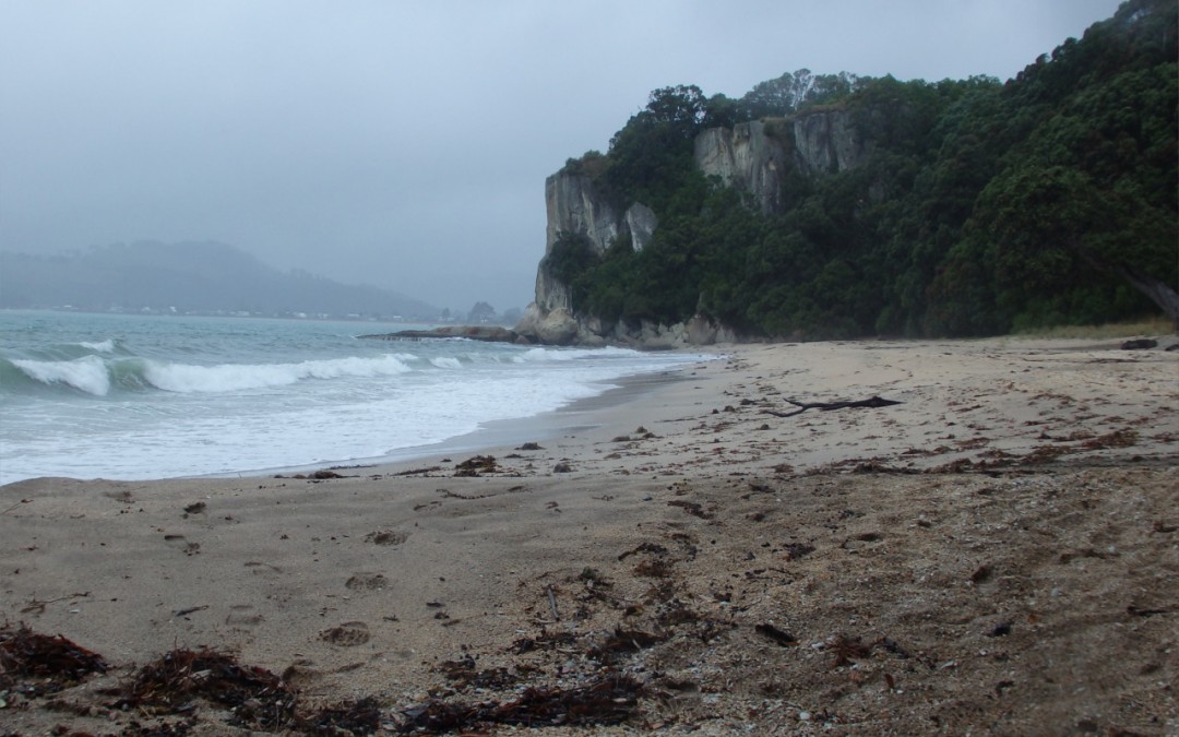 Geschützt: Weihnachten in Matarangi