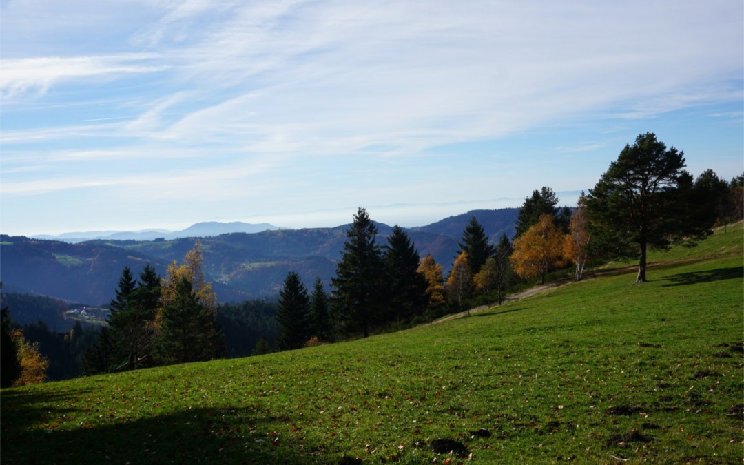 OG – Bosensteiner Almpfad