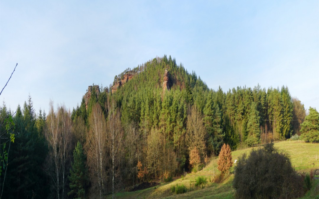 PS – Wasgau Felsentour über Spirkelbach