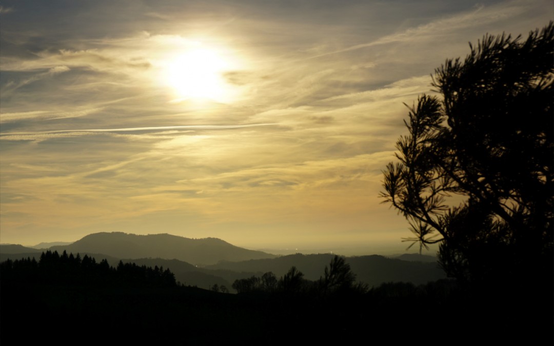 OG – Felsenweg Letterbox