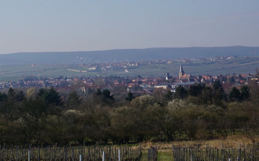 Freinsheimer Letterbox