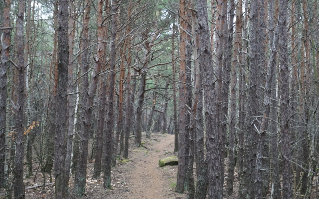 NW – Keschde Letterbox