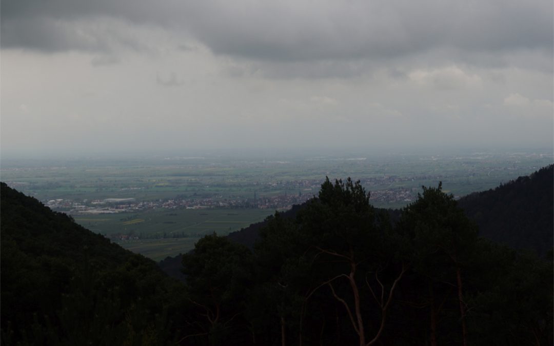 NW – Rosittas Geheimnis 2