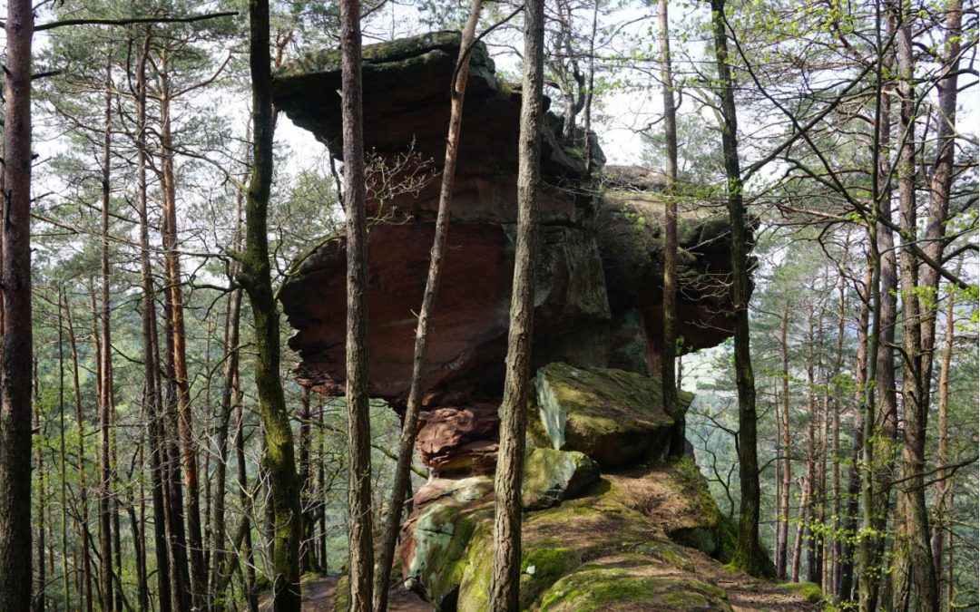 PS – Hasentisch Letterbox