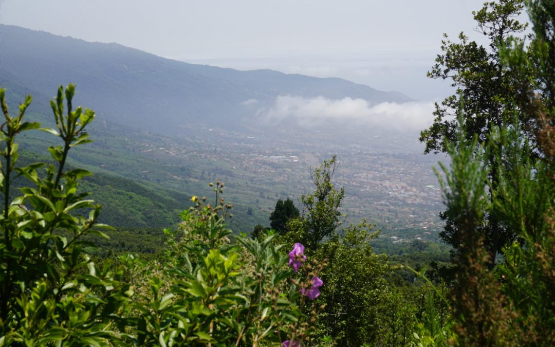 Geschützt: Am Hang der Cumbre Nueva